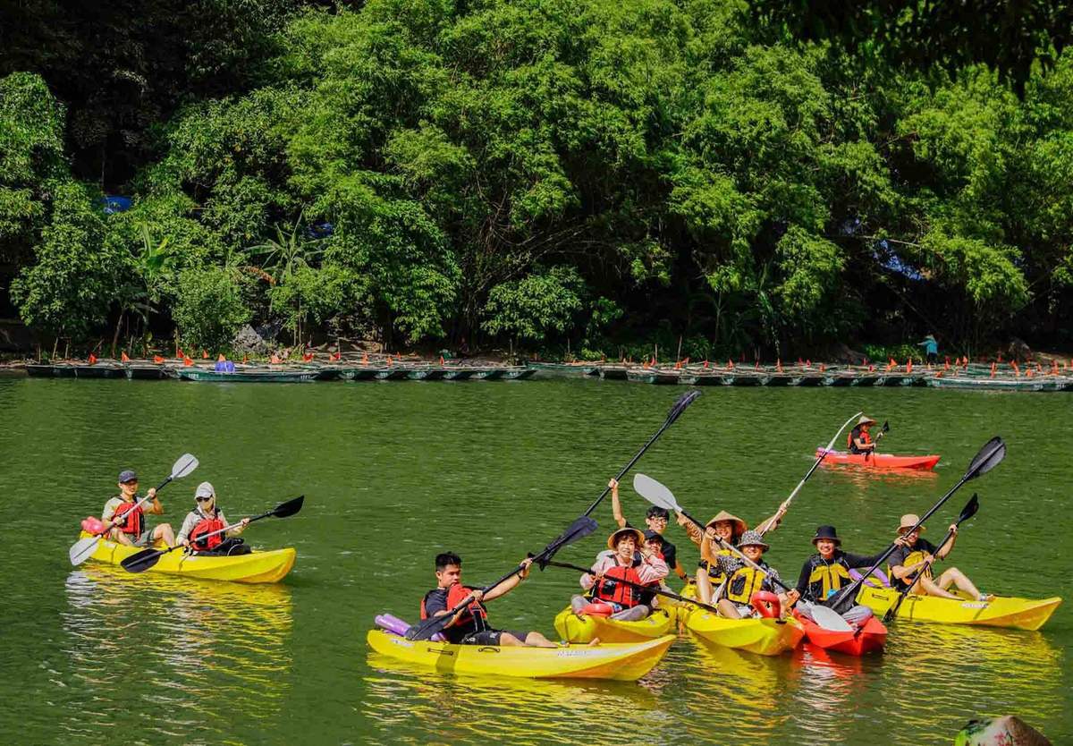 Bamboo Boat Ride through the Wetland Ecosystem