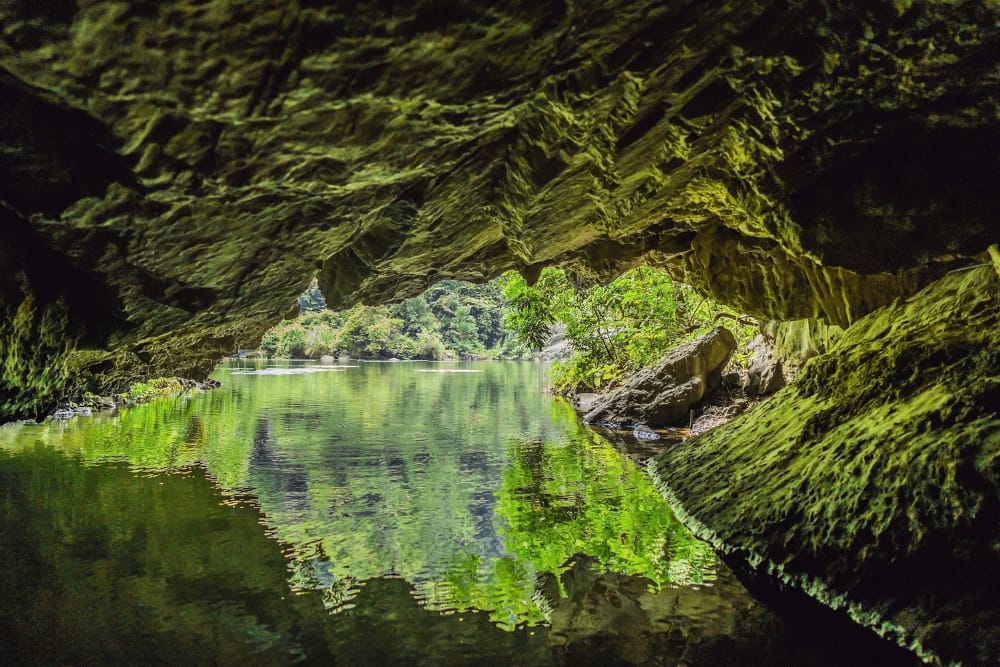 Perfect Ninh Binh Day Trip Itinerary from Hanoi: Temples, Caves & Culinary Treasures ninh binh day trip from hanoi 16