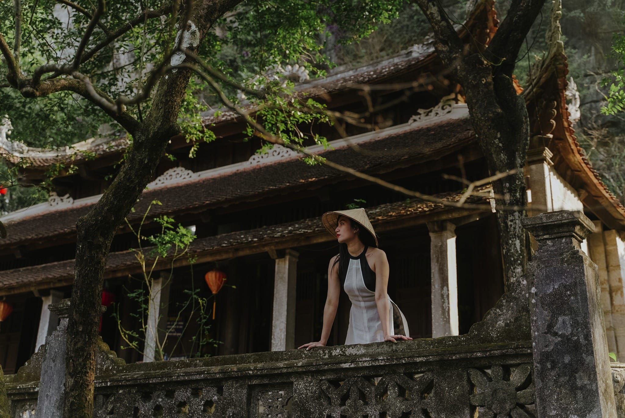 Bich Dong pagoda, perched halfway up a mountain, offers a tranquil spiritual experience