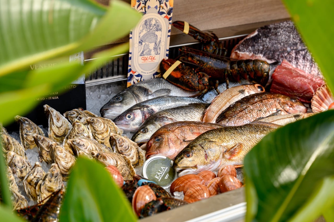 Fresh local seafood displayed at OyOy Restaurant in Spinola Bay Malta.