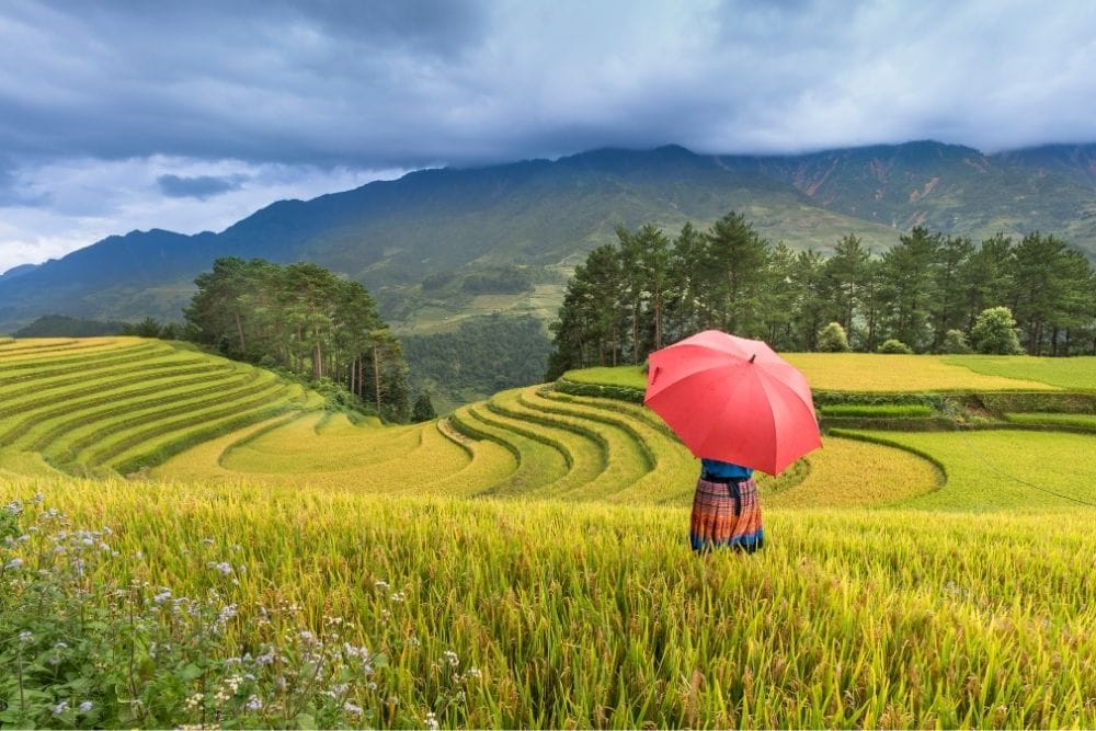 vietnam climate and weather 4