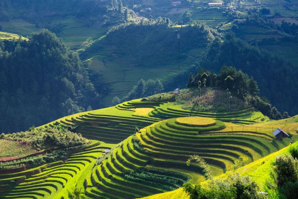 vietnam family holiday 2