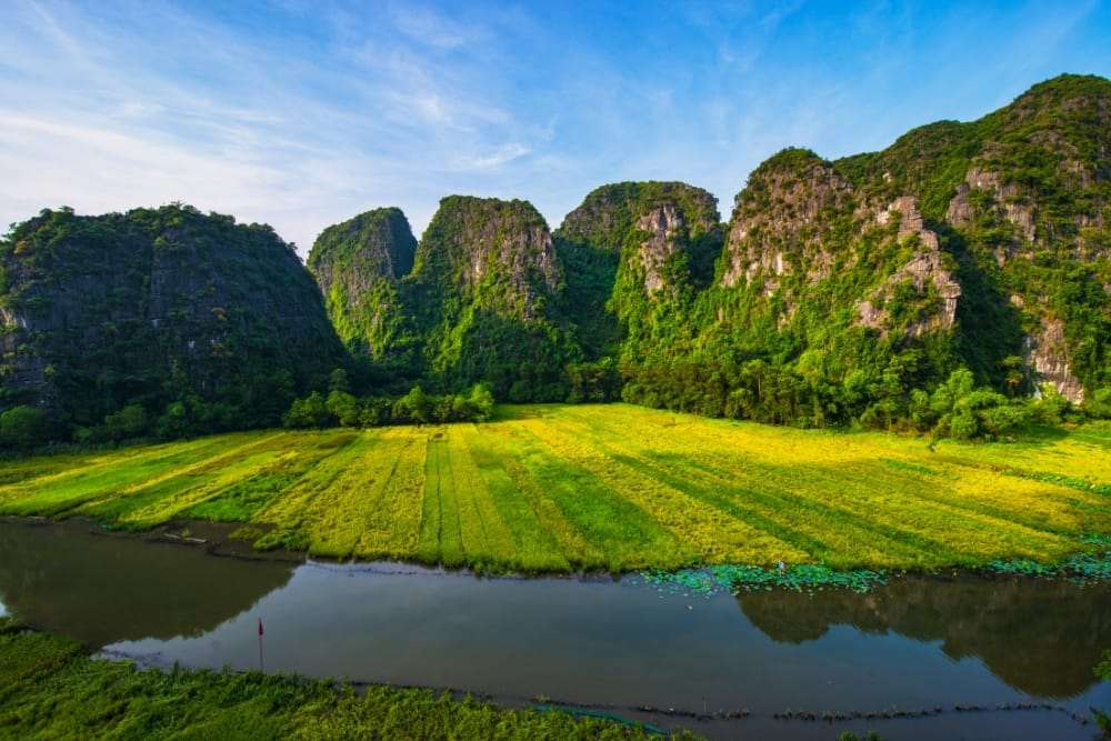 24