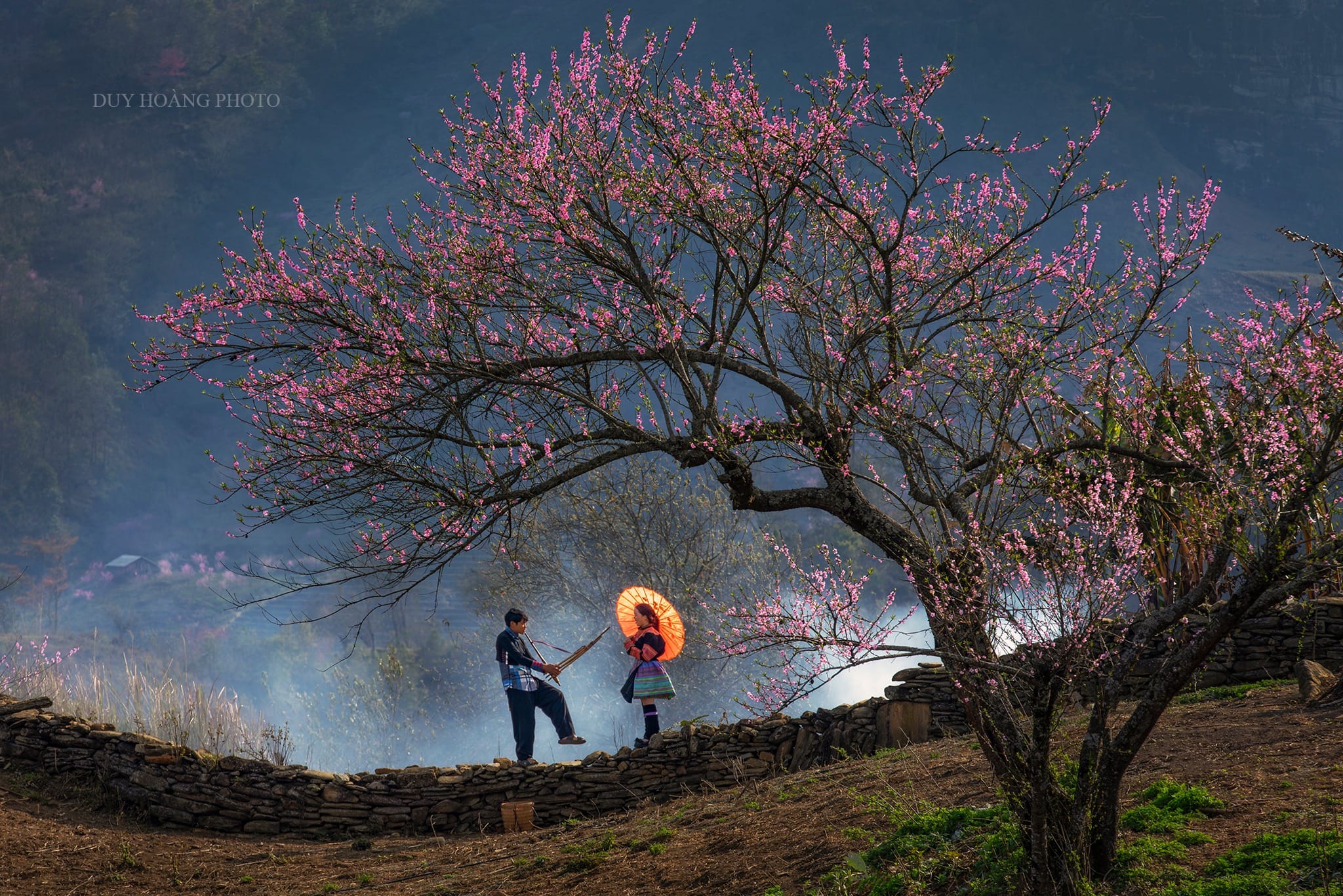 A rare balance of dramatic natural scenery and deep cultural heritage drawing global elite travelers.