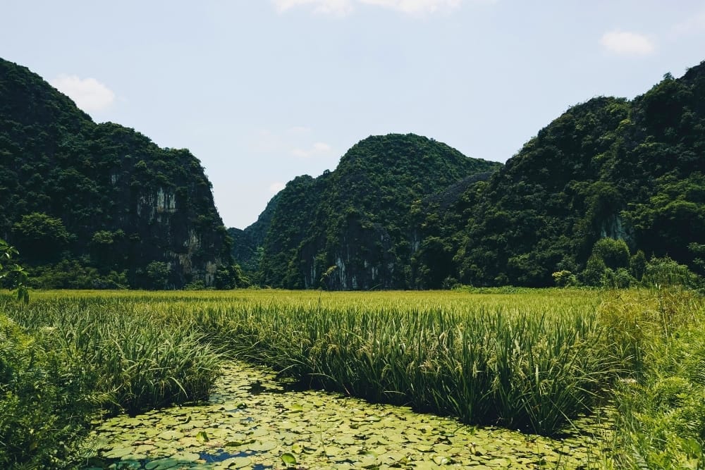 Best Ninh Binh Resorts to Stay In 2026 8