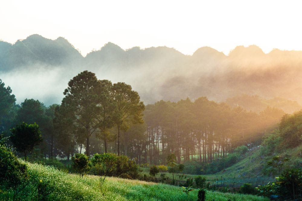 Comprehensive Travel Guide to Northern Vietnam Weather Northern vietnam weather 6