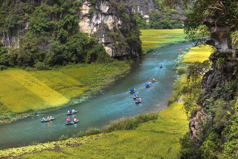 The rhythmic sound of oars and gentle ripples creating a meditative atmosphere at Trang An Ninh Binh