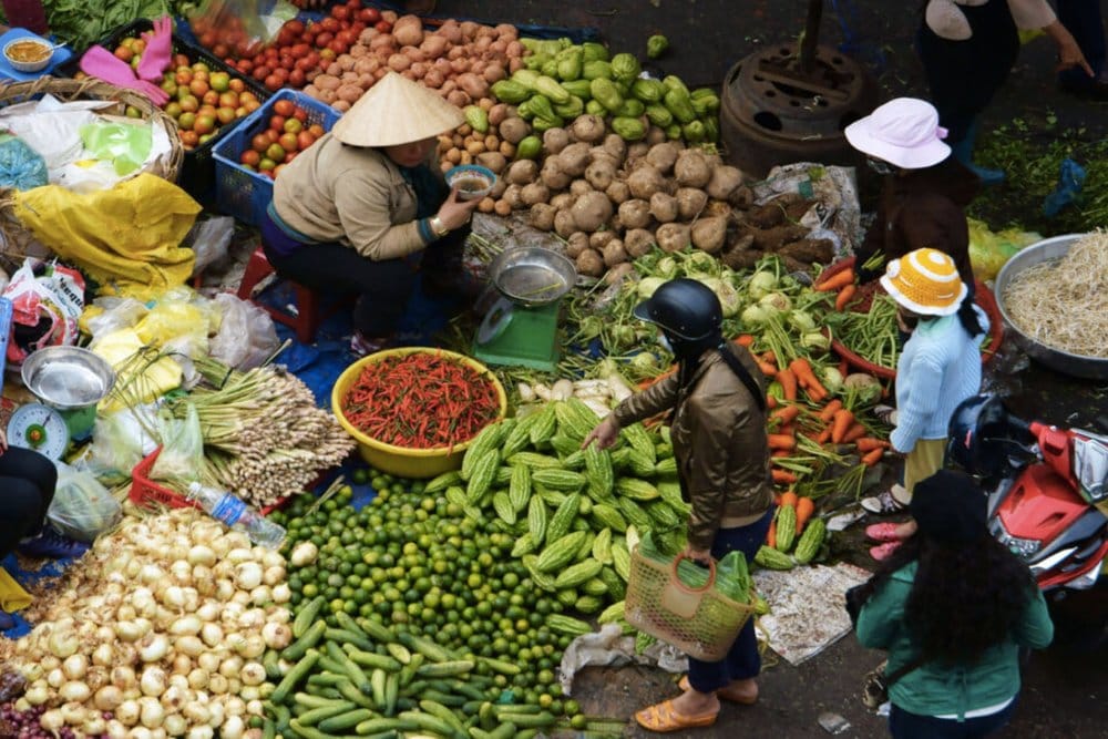 Experiencing unhurried morning food routines along quiet slow travel vietnam paths
