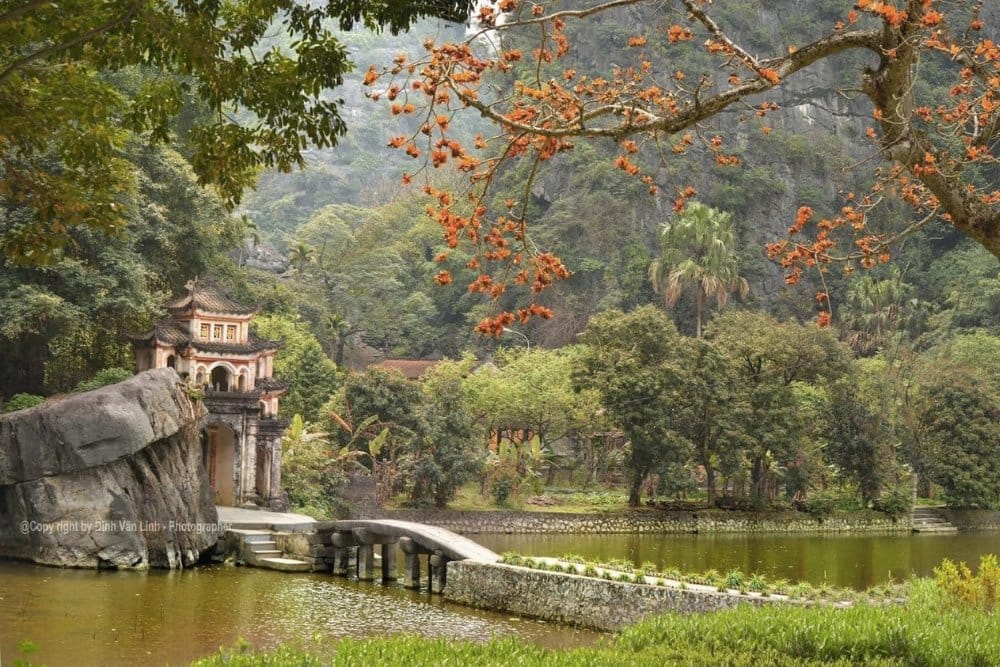 ninh binh cuisine guide 23