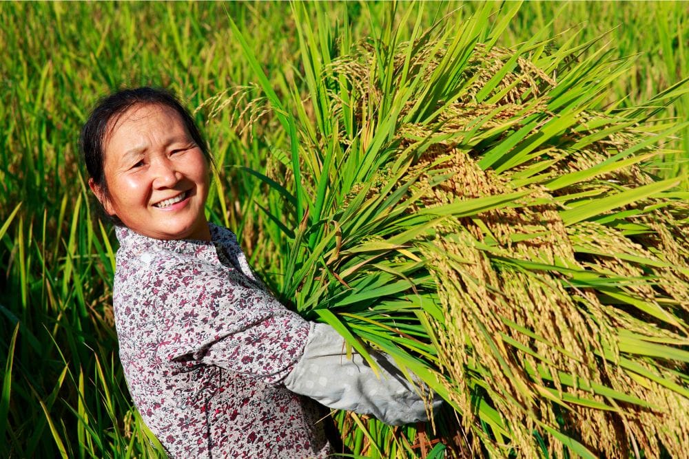 Sustainable Travel Vietnam: A Guide to More Responsible Journeys Discovering untouched ecosystems, ancient forests, and marine sanctuaries through sustainable travel vietnam.