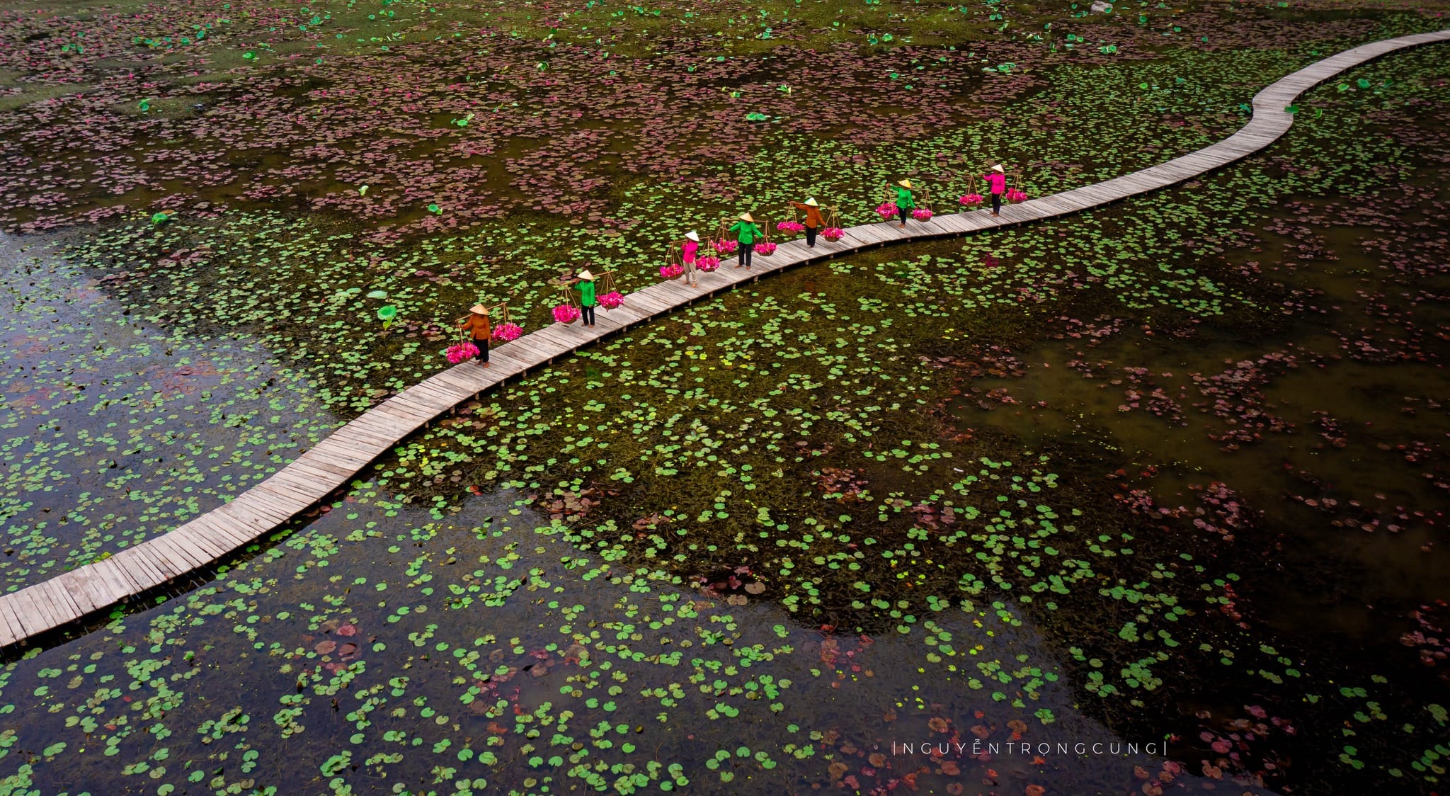 Is a Ninh Binh from Hanoi Tour Worth It? Here’s What You Should Know The mist-covered flowers paddies of Ninh Binh, a must-see heritage destination in Northern Vietnam.