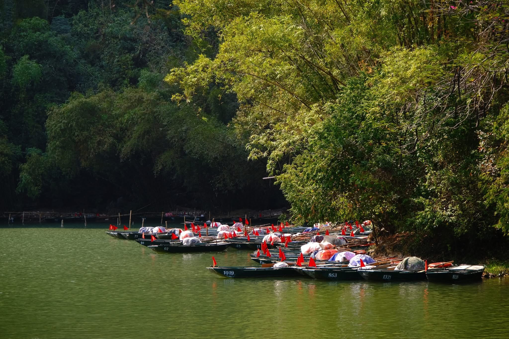 Trang An Boat Tour: Everything You Need to Know About Ninh Binh’s UNESCO Landscape Finding a rare moment of profound silence amidst the dramatic landscape of the Ninh Binh highlands.