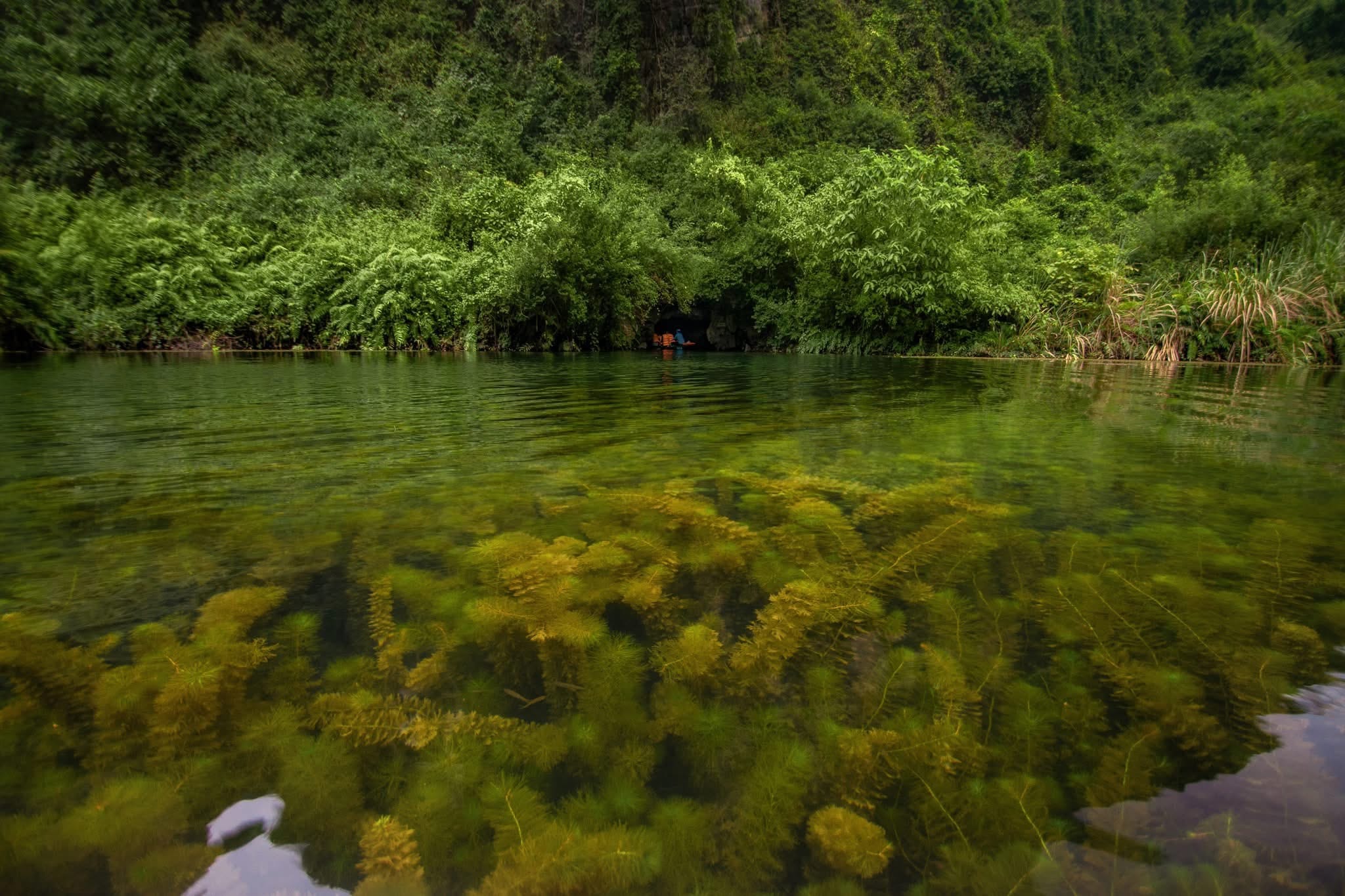 Tranquil river conditions during the mild temperatures of Spring (February-April), the ideal time for boat tours