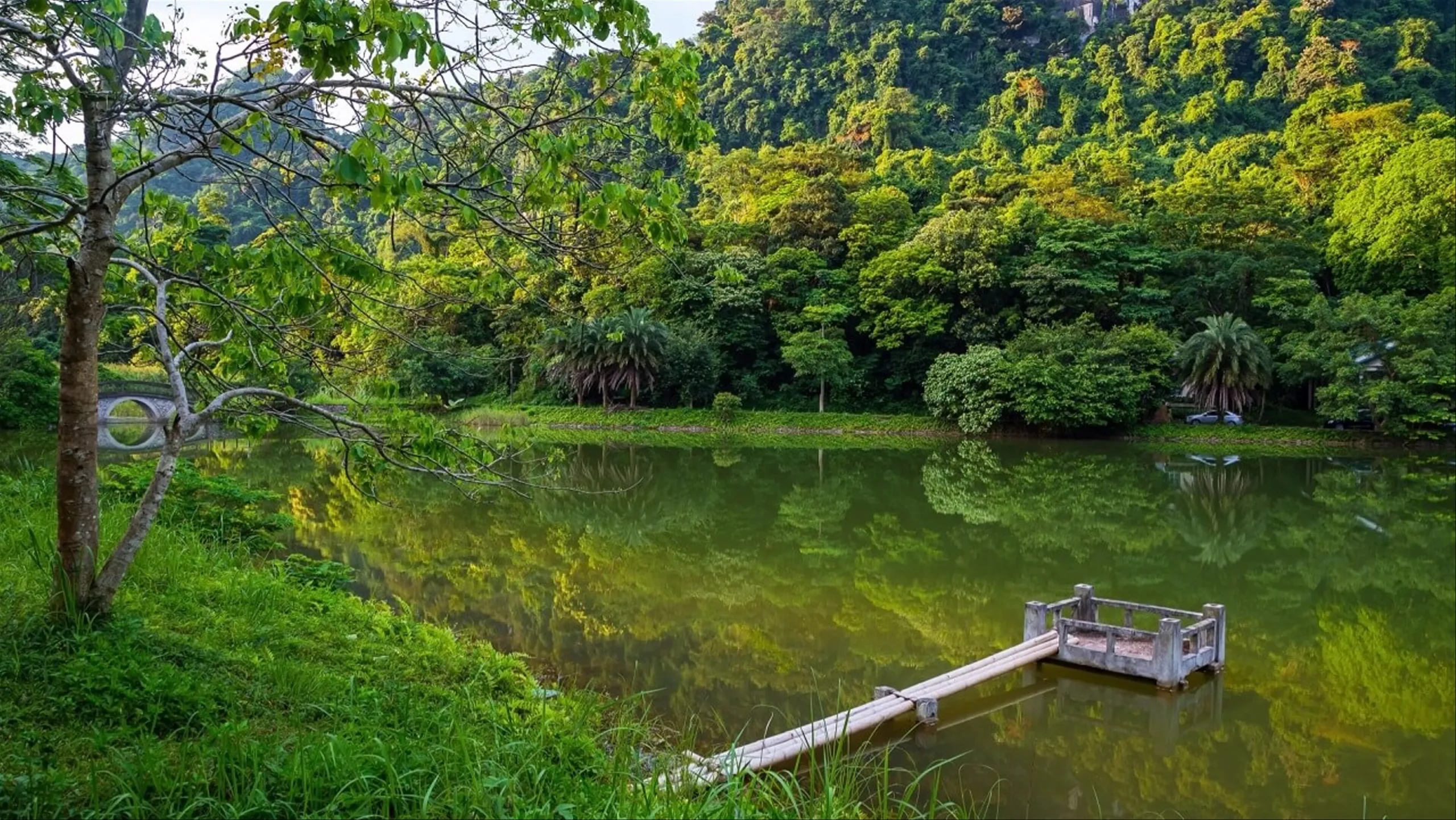 Không gian tĩnh lặng và thuần khiết, nơi thiên nhiên được gìn giữ vẹn nguyên qua thời gian.