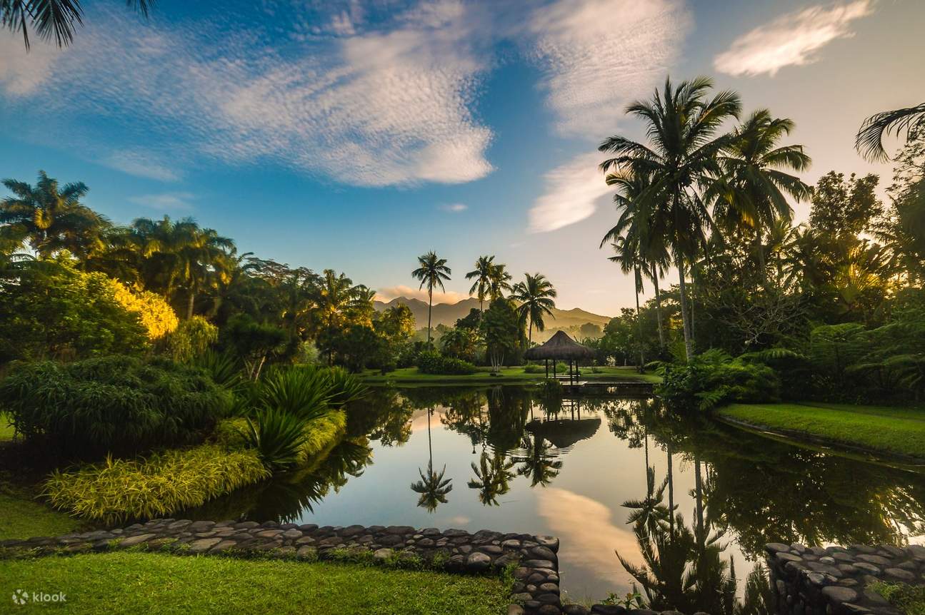 The lush ecological sanctuary of The Farm, the ideal setting for medical detox and healing.