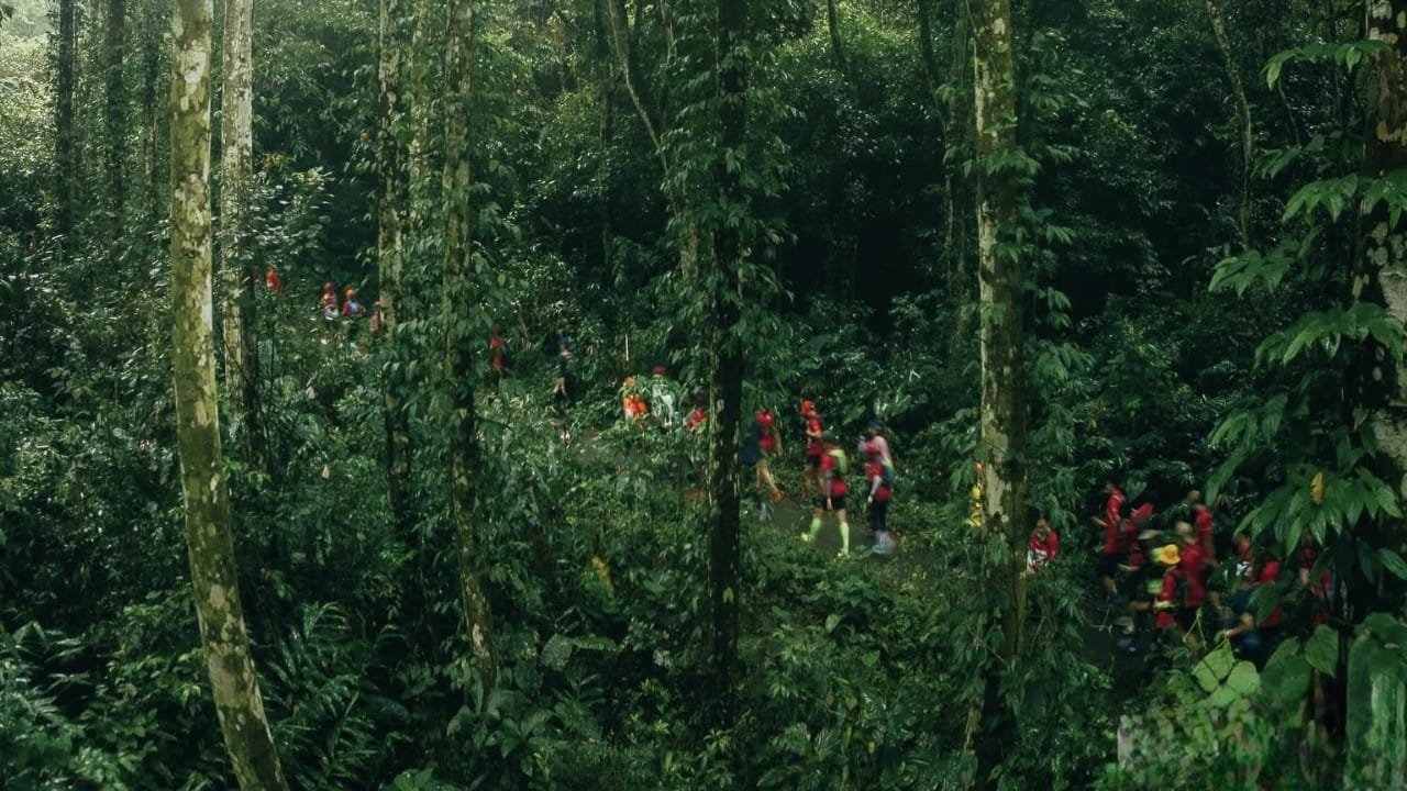 Trekking beneath the thick canopy of the oldest national park in Vietnam.