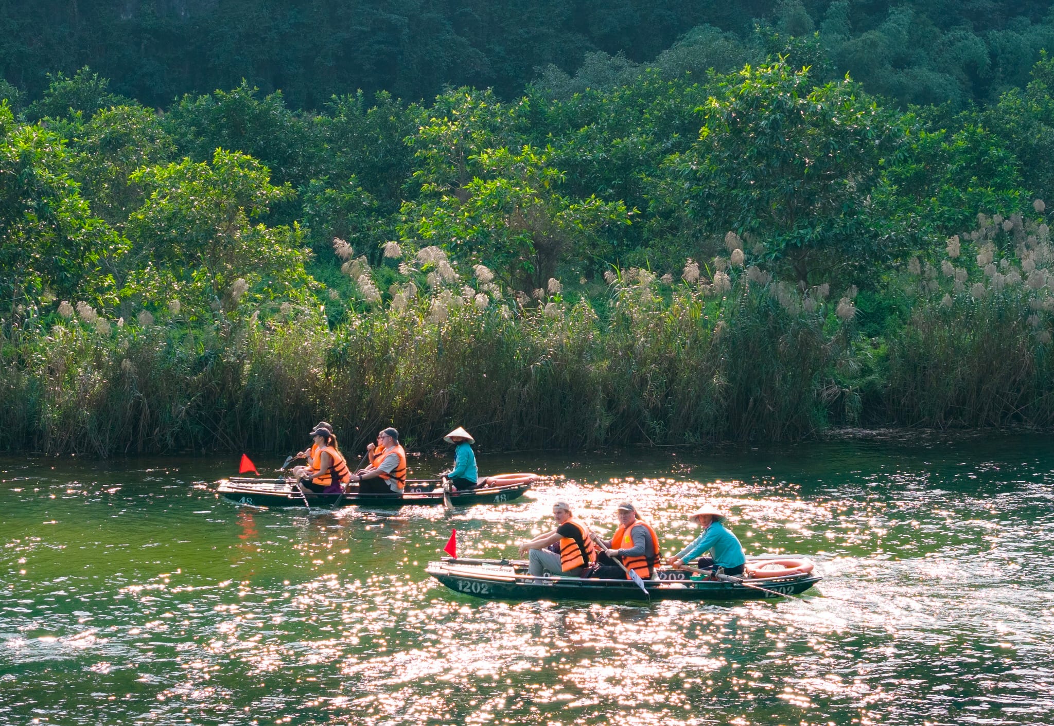 Is a Ninh Binh from Hanoi Tour Worth It? Here’s What You Should Know A boat ride through the "Bird Valley," offering a close-up look at Ninh Binh's diverse avian life.