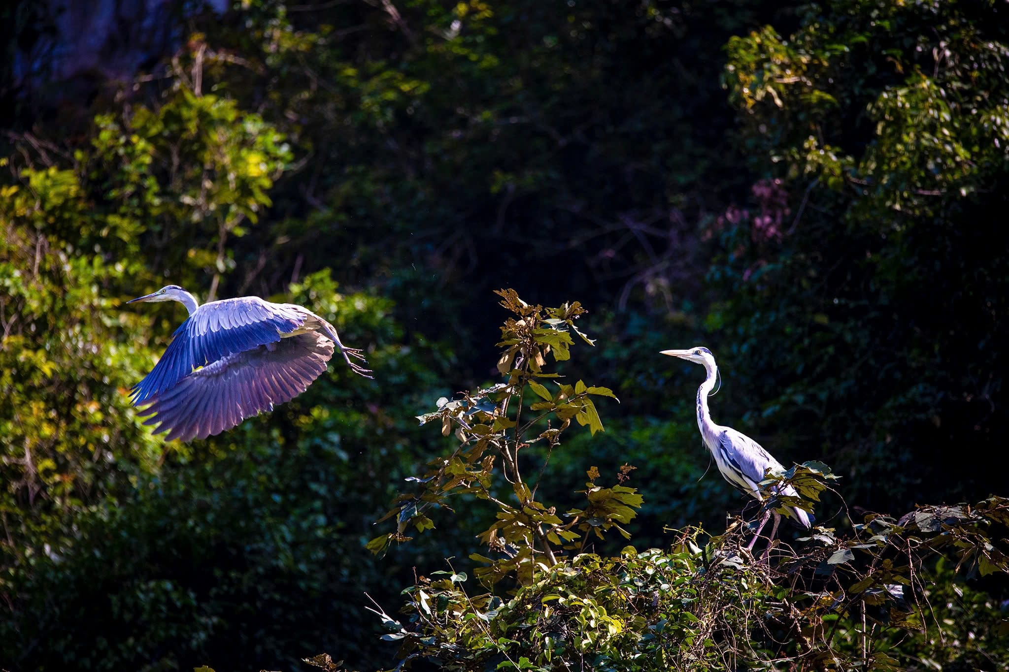 The vast eco-tourism area, home to thousands of birds and diverse natural landscapes.