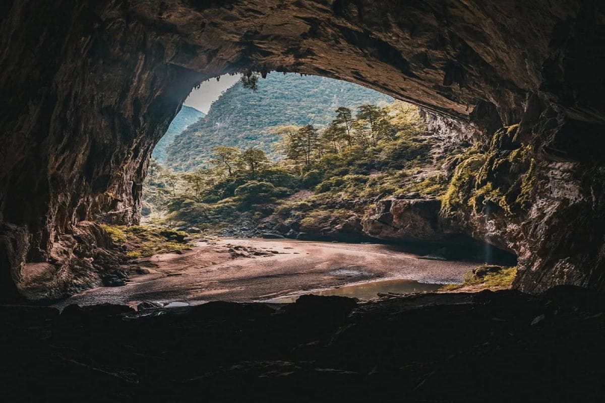 Ancient stalactites and refreshing cool air inside the natural limestone passages of the Tam Coc complex.
