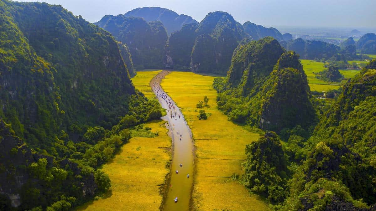 Panoramic views of rising karsts and vibrant seasonal fields from the perspective of a local sampan.