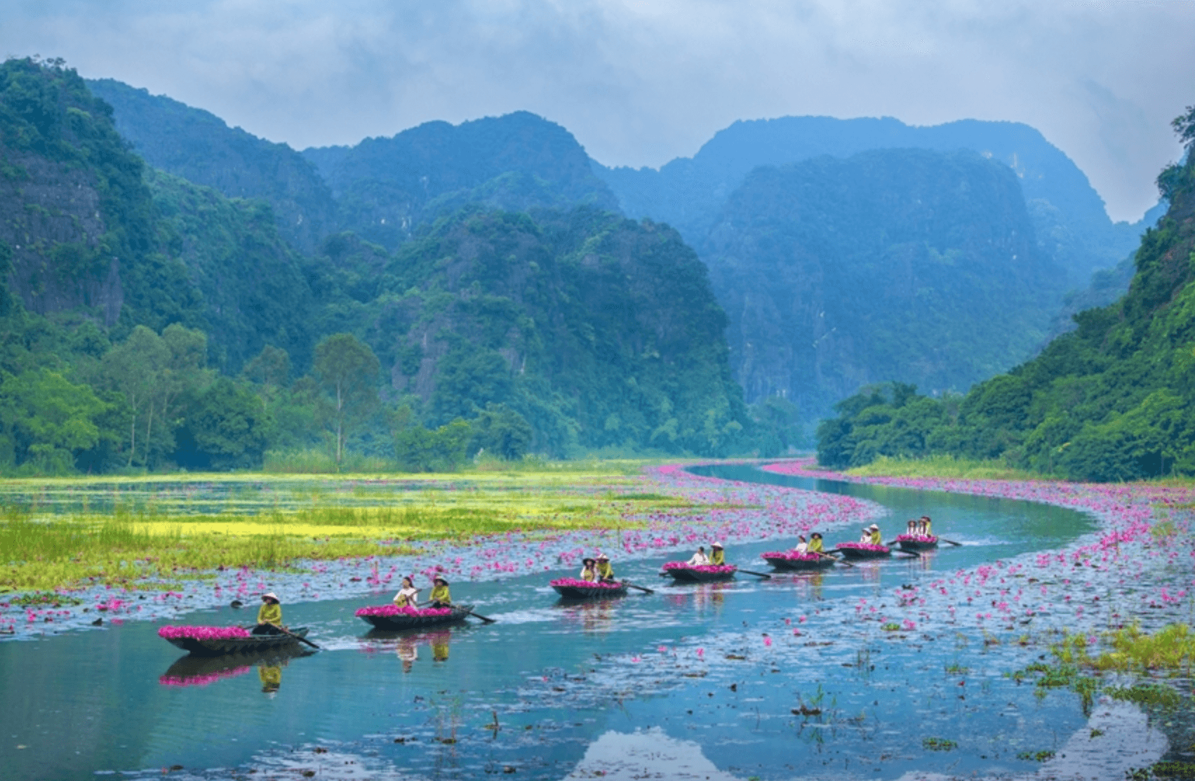 Limestone towers rising majestically from emerald rice paddies in the "Halong Bay on Land".