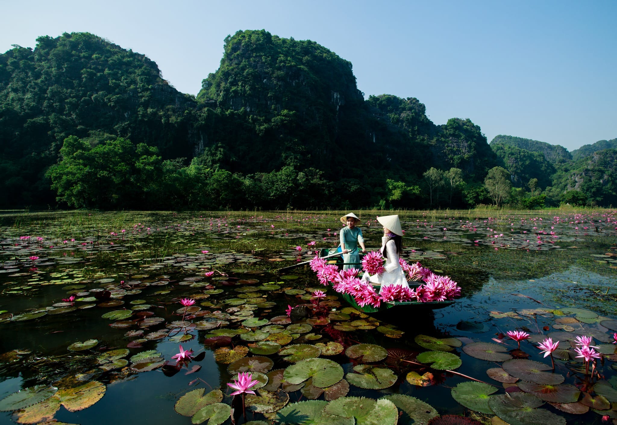 Is a Ninh Binh from Hanoi Tour Worth It? Here’s What You Should Know A breathtaking panoramic view that answers the question: is a Ninh Binh from Hanoi Tour worth it?
