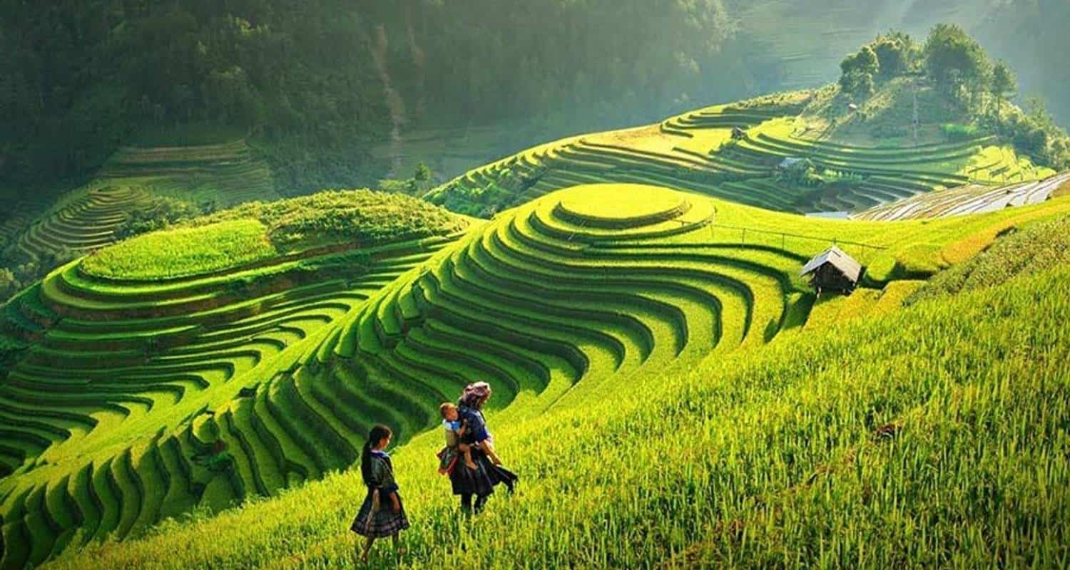 Yoga Retreat Vietnam: Top Wellness Escapes for Mind, Body & Soul Immersing your senses in cool, fresh alpine air during a mindful yoga retreat vietnam trek.