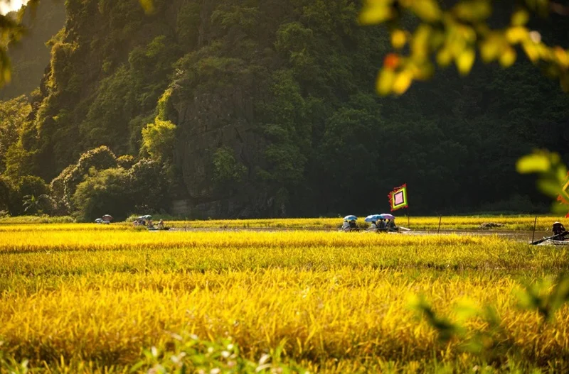Ninh Binh 3 Day Itinerary: The Perfect Guide to Nature, Culture and Hidden Gems Early morning light reflecting off the emerald water as boats pass beneath low, natural limestone cave arches.