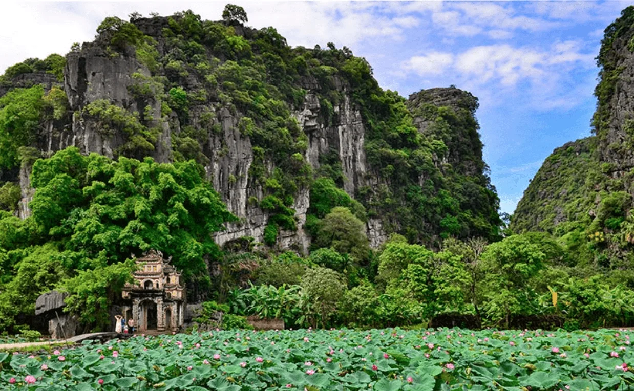 The lively atmosphere of Tam Coc village, where traditional life meets modern traveler comforts.