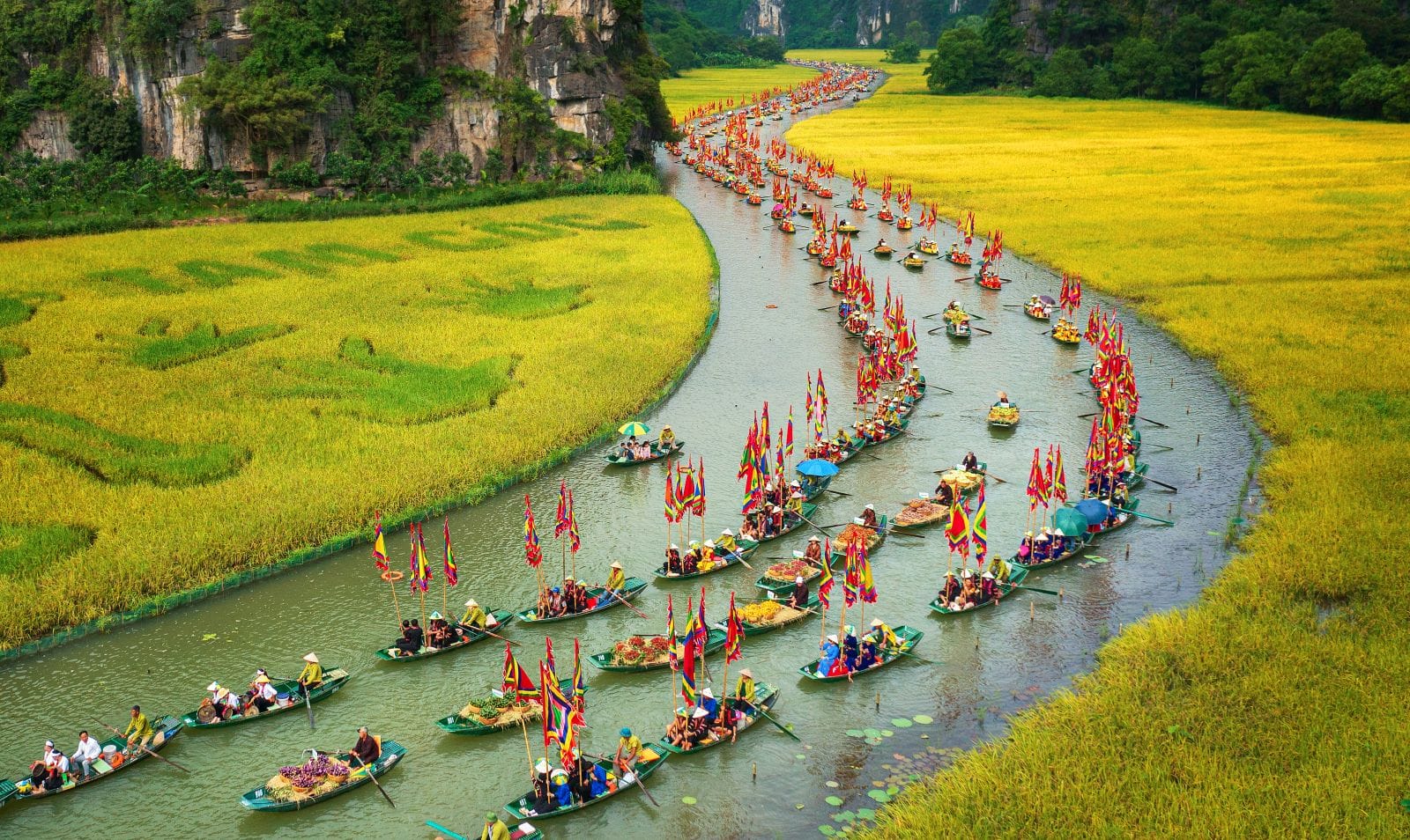 Ninh Binh Weather Guide: Seasons, Temperature & Rainfall Explained Witnessing the vibrant transition from the lush greenery of early summer to the poetic yellow of the harvest.