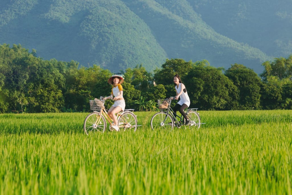 Ninh Binh Weather Guide: Seasons, Temperature & Rainfall Explained highlight of the vibrant ninh binh weather in early summer.