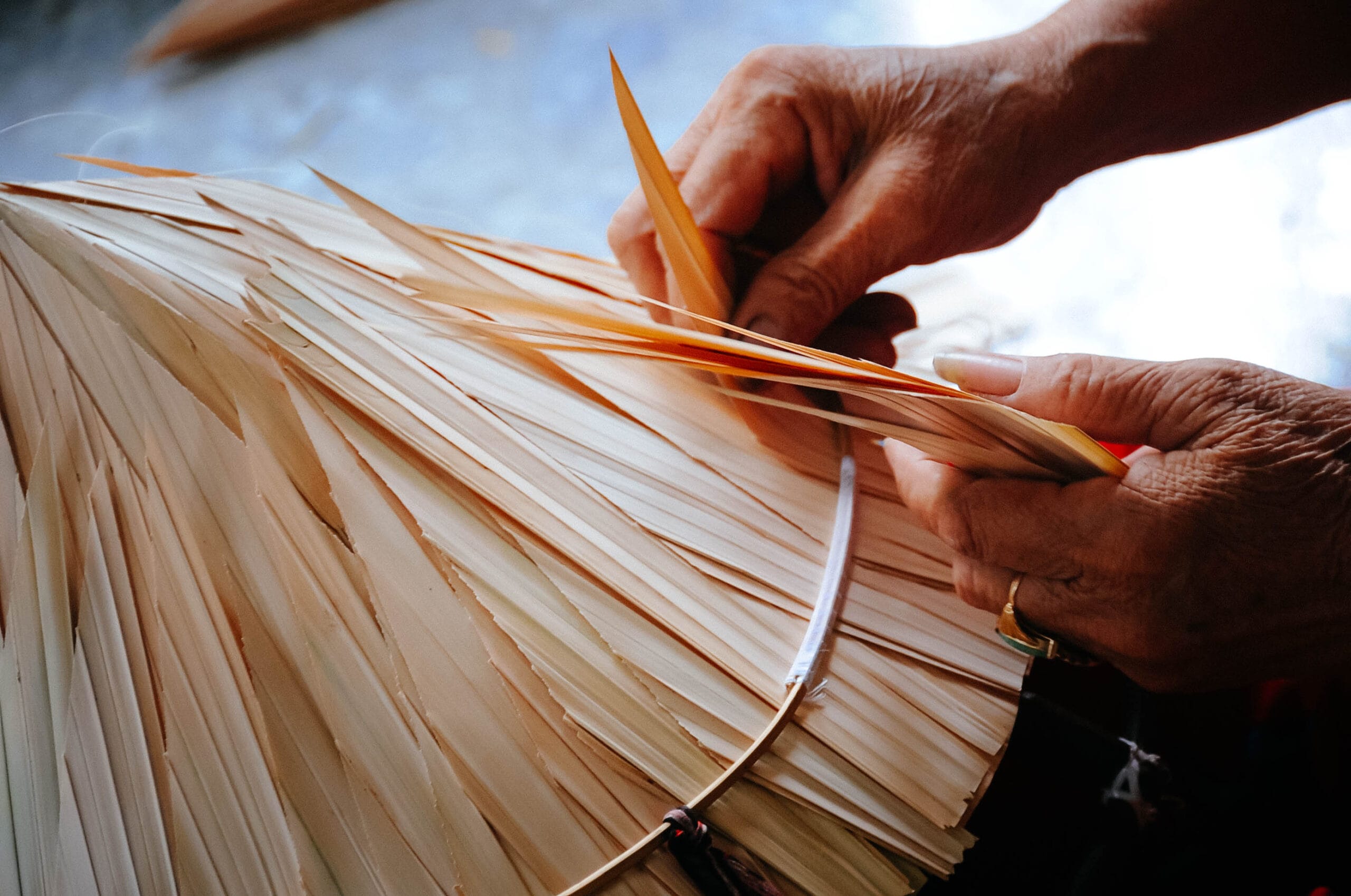 Sustainable Travel Vietnam: A Guide to More Responsible Journeys Supporting indigenous culture and rural livelihoods through authentic community-based tourism across northern valleys.