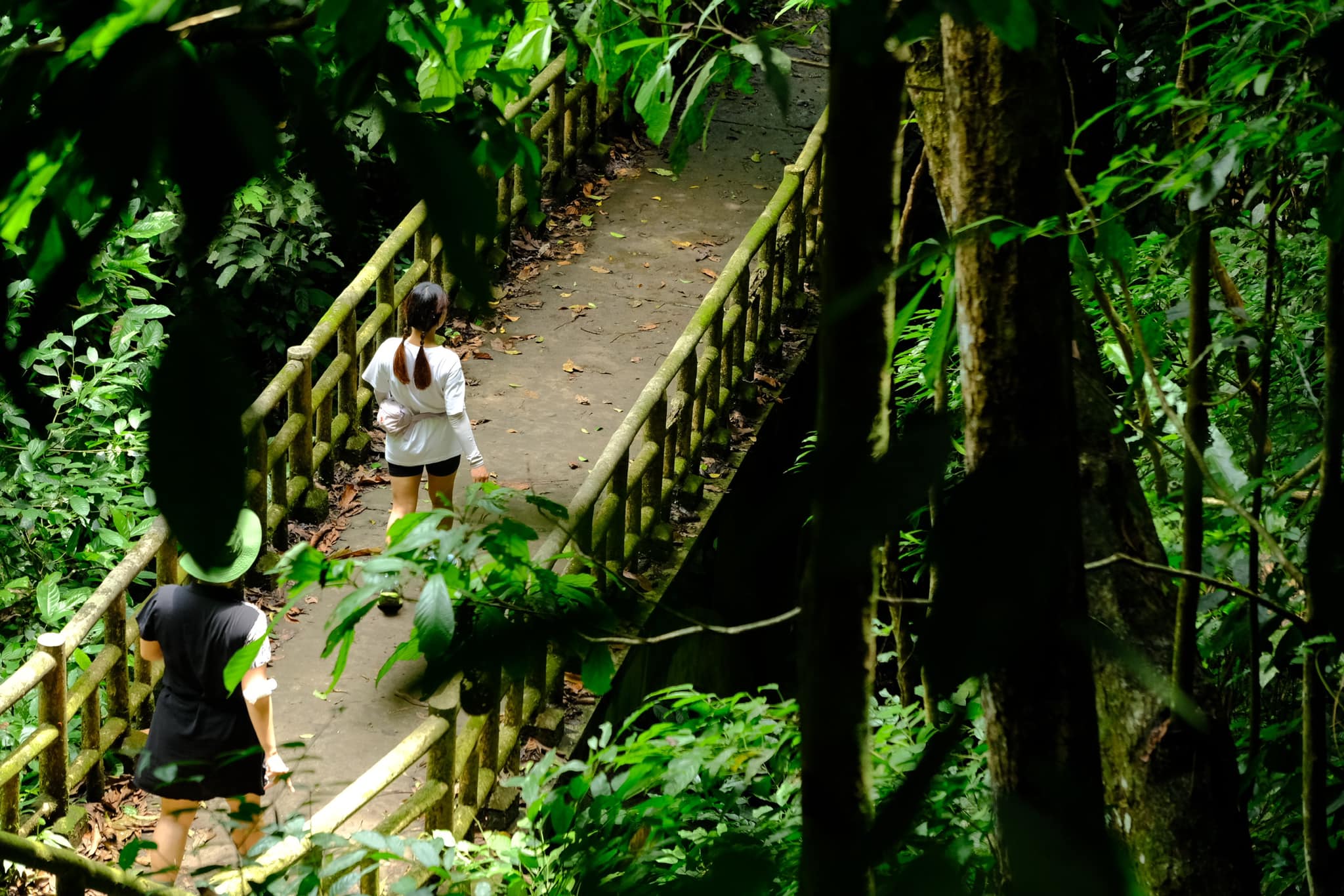 Ninh Binh Weather Guide: Seasons, Temperature & Rainfall Explained Applying essential ninh binh climate tips for a cool and stylish summer exploration of the ancient capital.