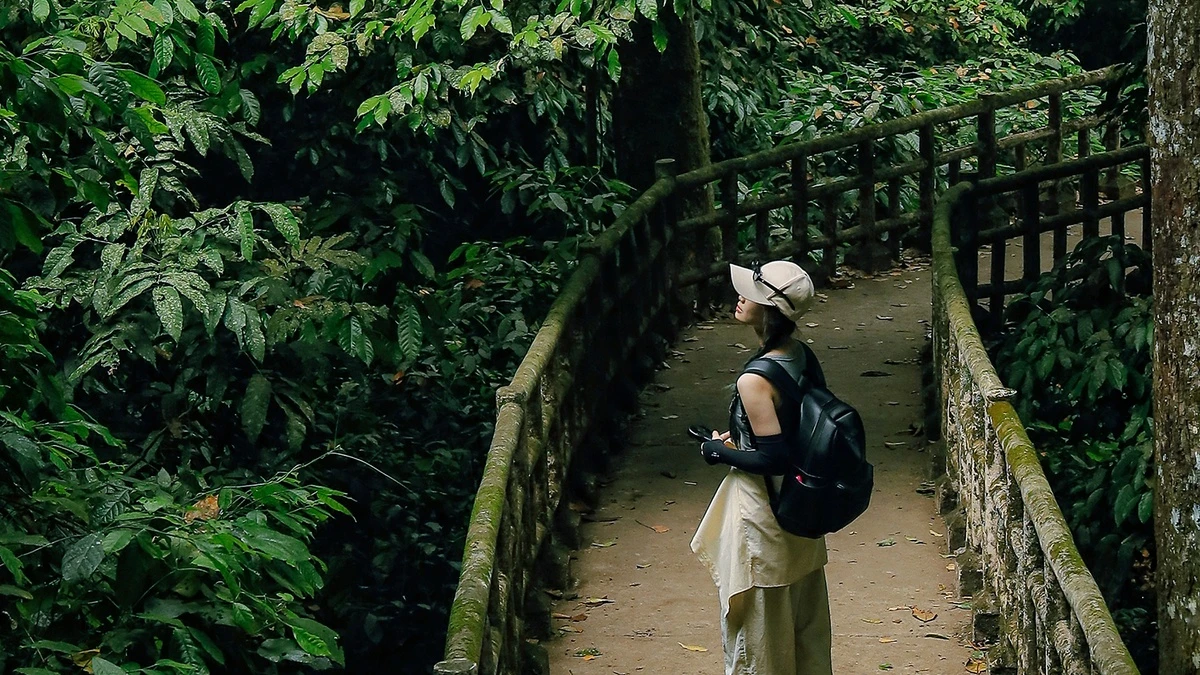 Sustainable Travel Vietnam: A Guide to More Responsible Journeys IMG 2544 01 1