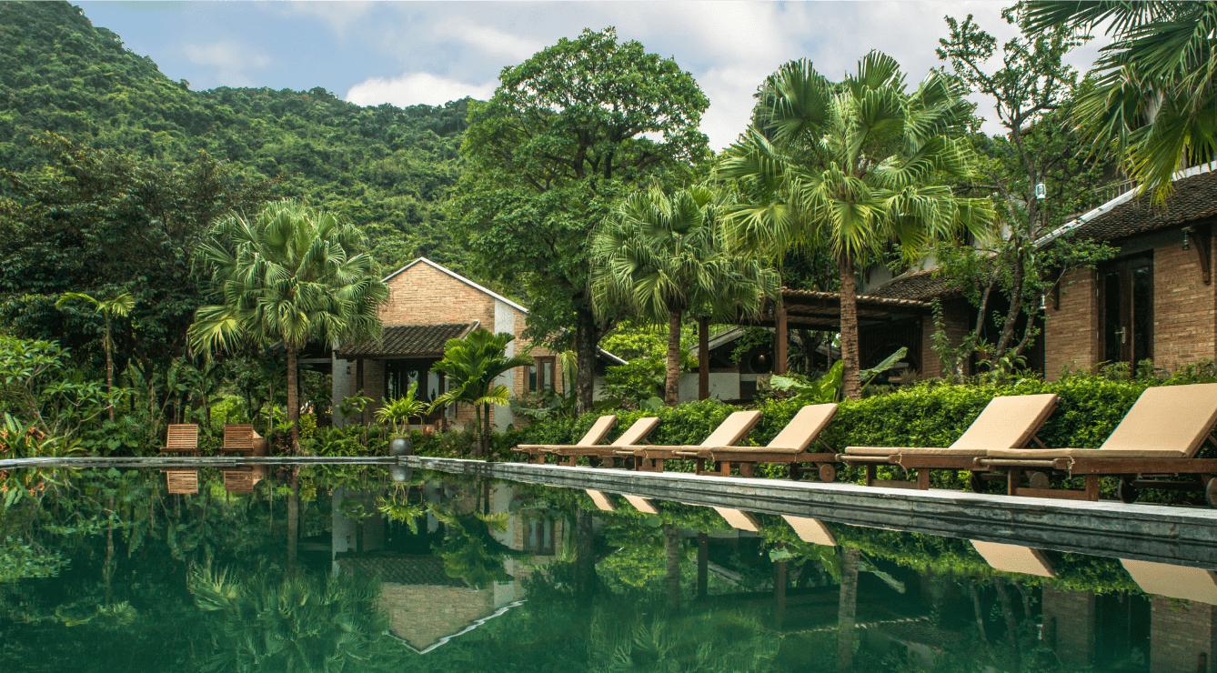 A sleek infinity pool offering unobstructed views of the surrounding forest and rice fields.