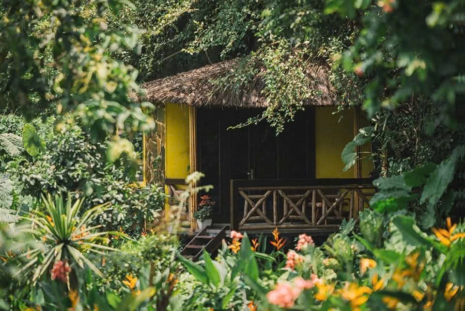 Finding a sophisticated tropical oasis at the best hotels in Ninh Binh located in the heart of Tam Coc.