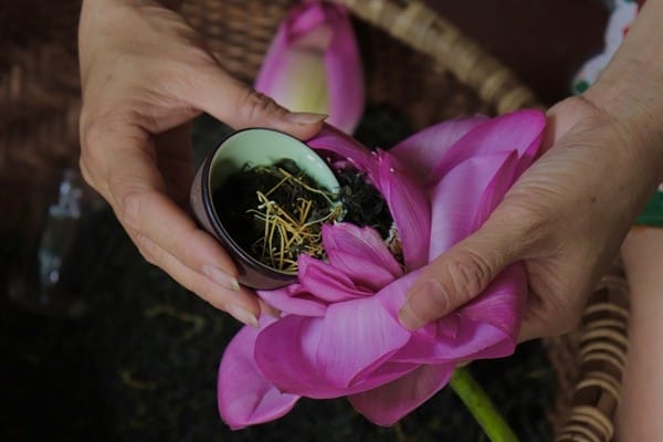 A resident tea master prepare organic speciality lotus tea during a slow, focused morning mindfulness workshop.