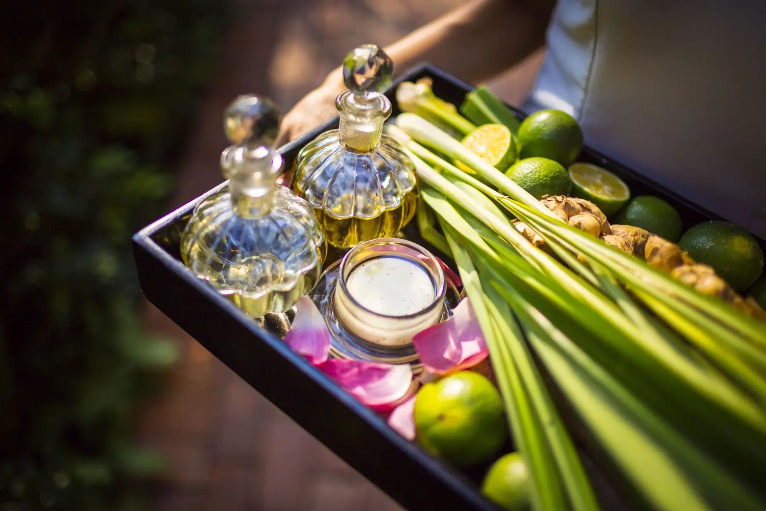 Discovering timeless emotional balance with organic herbal therapy in a refined coastal setting