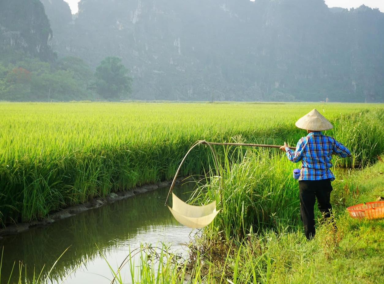 Sustainable Travel Vietnam: A Guide to More Responsible Journeys 492068428 1469539674416556 2351159853810842248 n