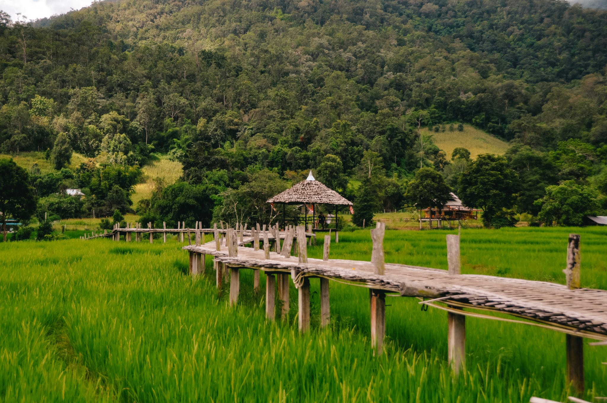 Mindfulness Retreat Asia: A Complete Guide to Peaceful Getaways 19 FC7672D3 D36D 4E9D 8E3C 98B3BEC6881C