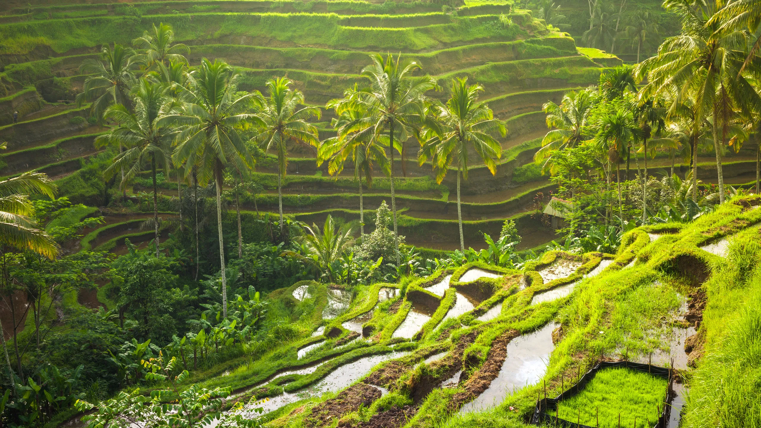 Mindfulness Retreat Asia: A Complete Guide to Peaceful Getaways Recharging your energy among sacred river ravines at a classic mindfulness retreat asia