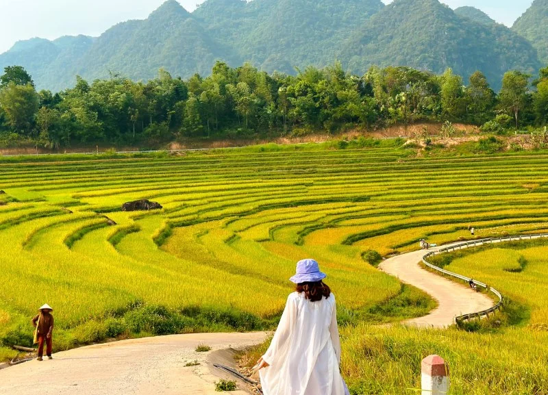 Sustainable Travel Vietnam: A Guide to More Responsible Journeys pu luong mua lua chin 1